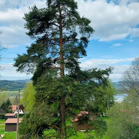 Chata Busek Alpesi faház Horní Planá